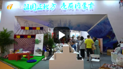 海南国际旅游岛欢乐节:拓业务 深交流 国内外旅游企业“三展”上收获颇丰