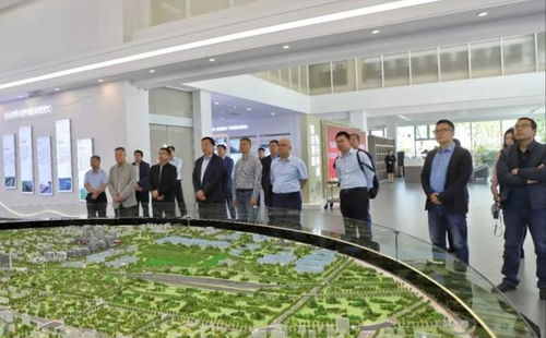 才聚钢城 与企同行,全国高校山东校友会走进钢城